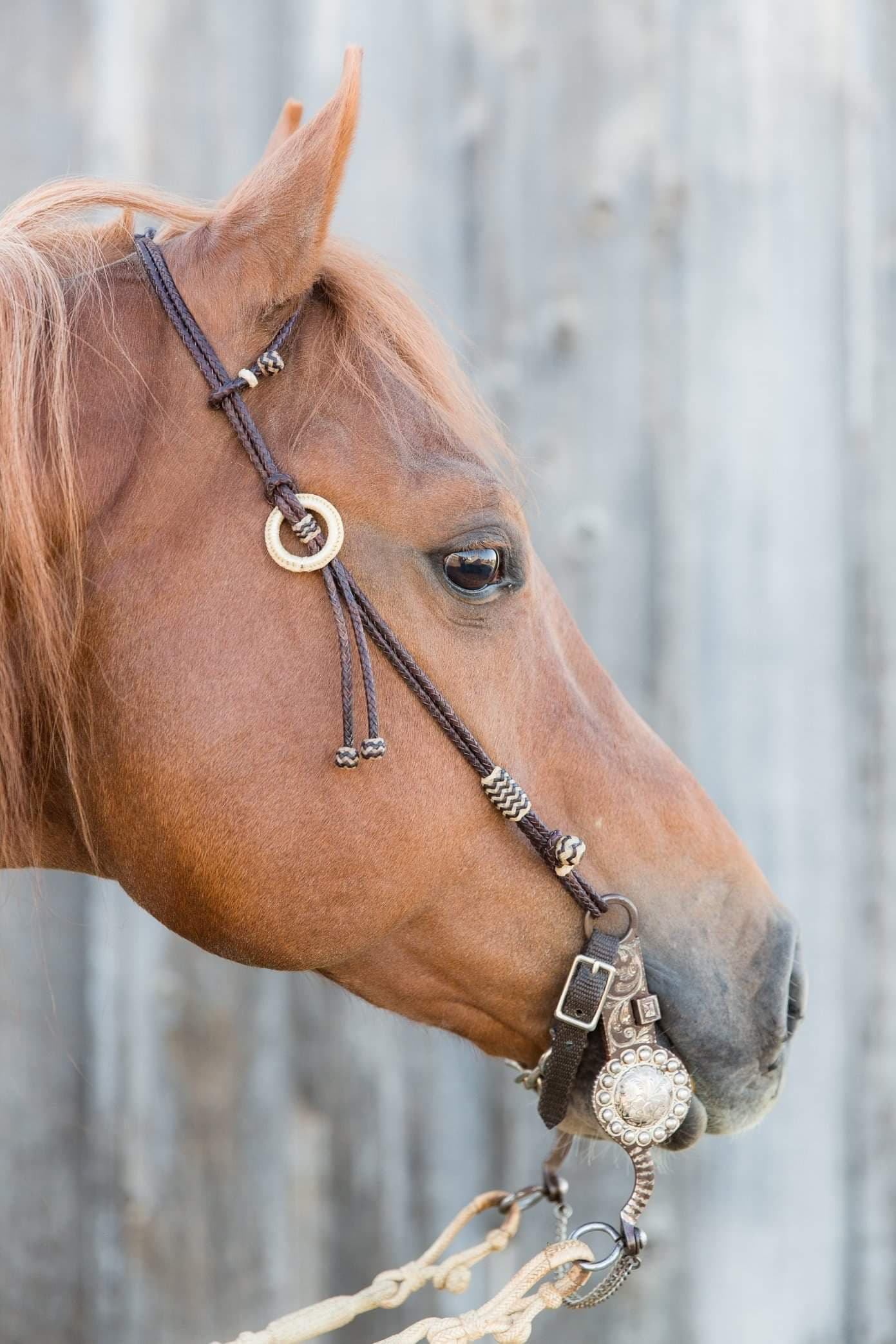Rawhide Braiding by Nancy Eppers