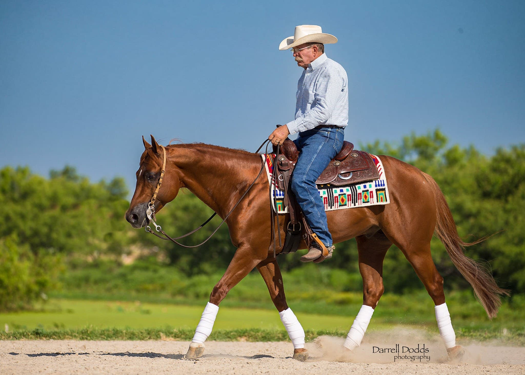 Ken Eppers Performance Horses